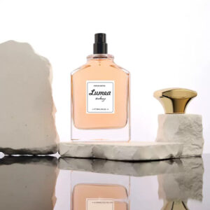 100ml Luxury Perfume Glass Bottle With Custom Cap